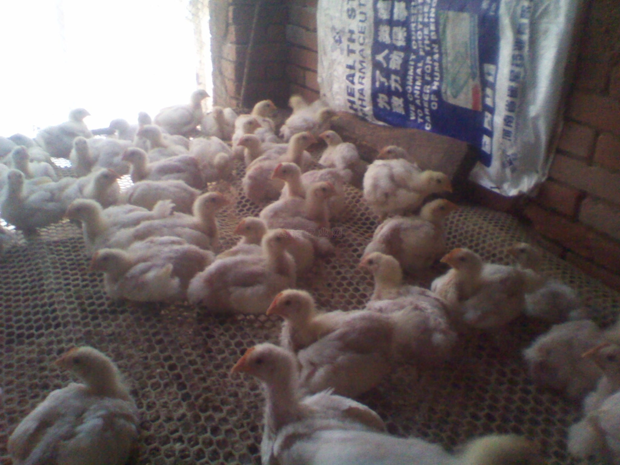 2011-01-17 16.30.33.jpg