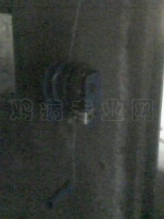 IMG0001A.jpg