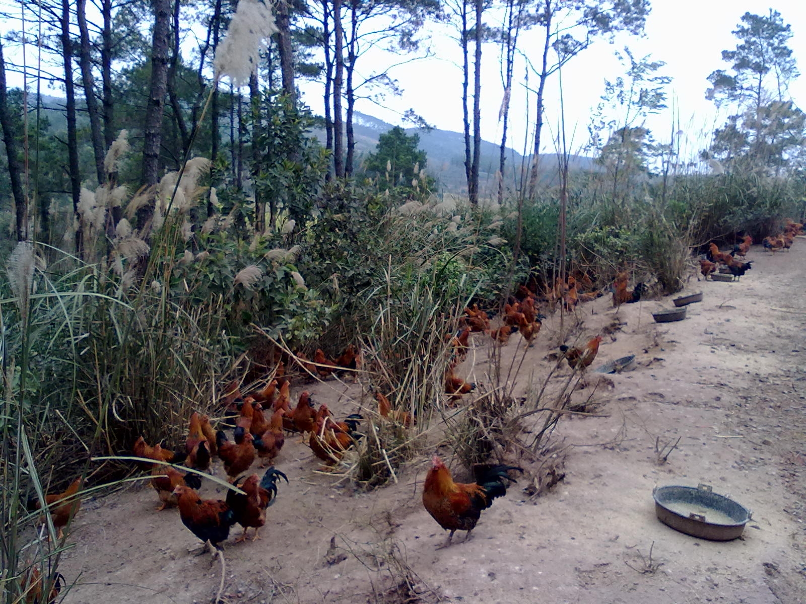 20110121046.jpg