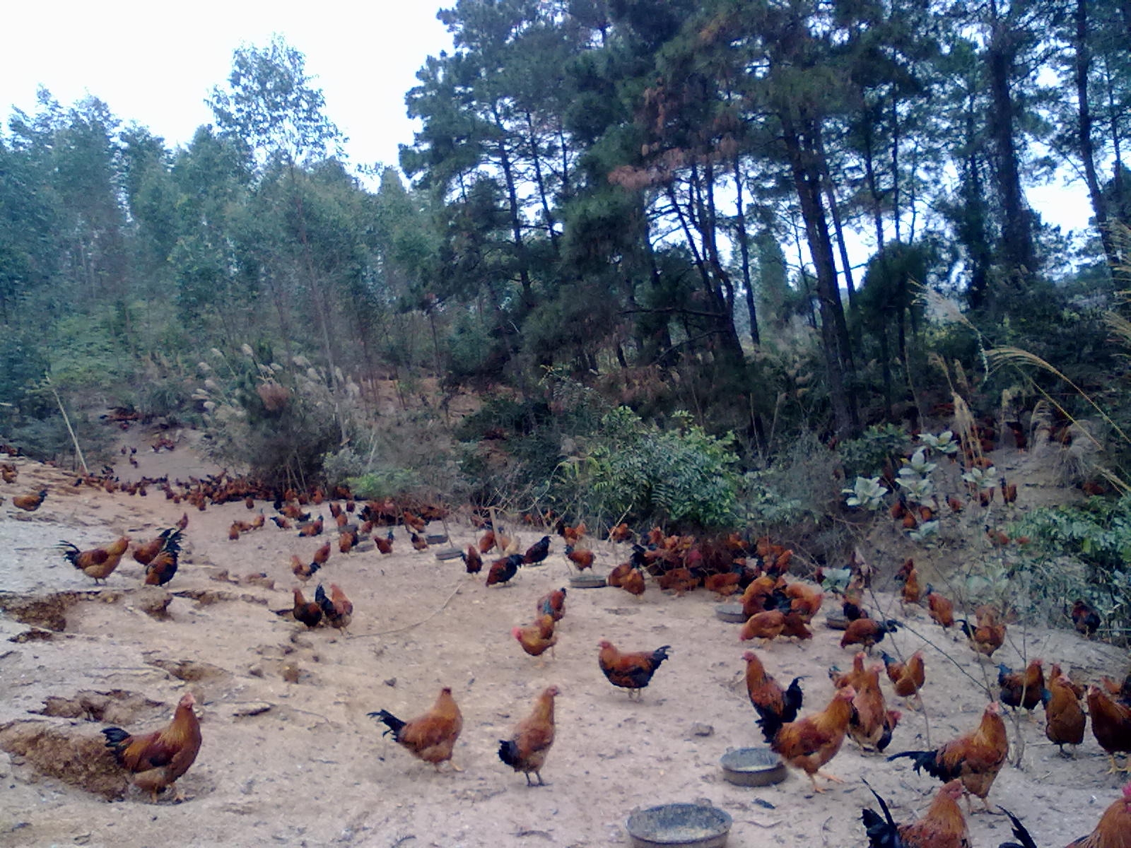 20110121042.jpg