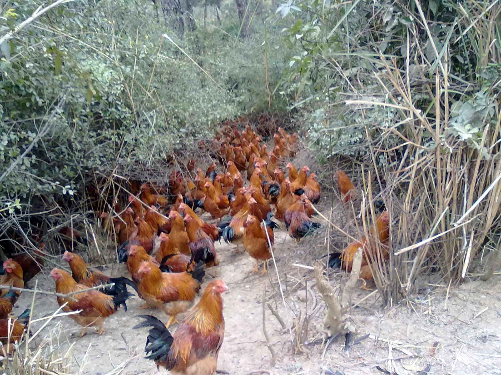 20110121043.jpg