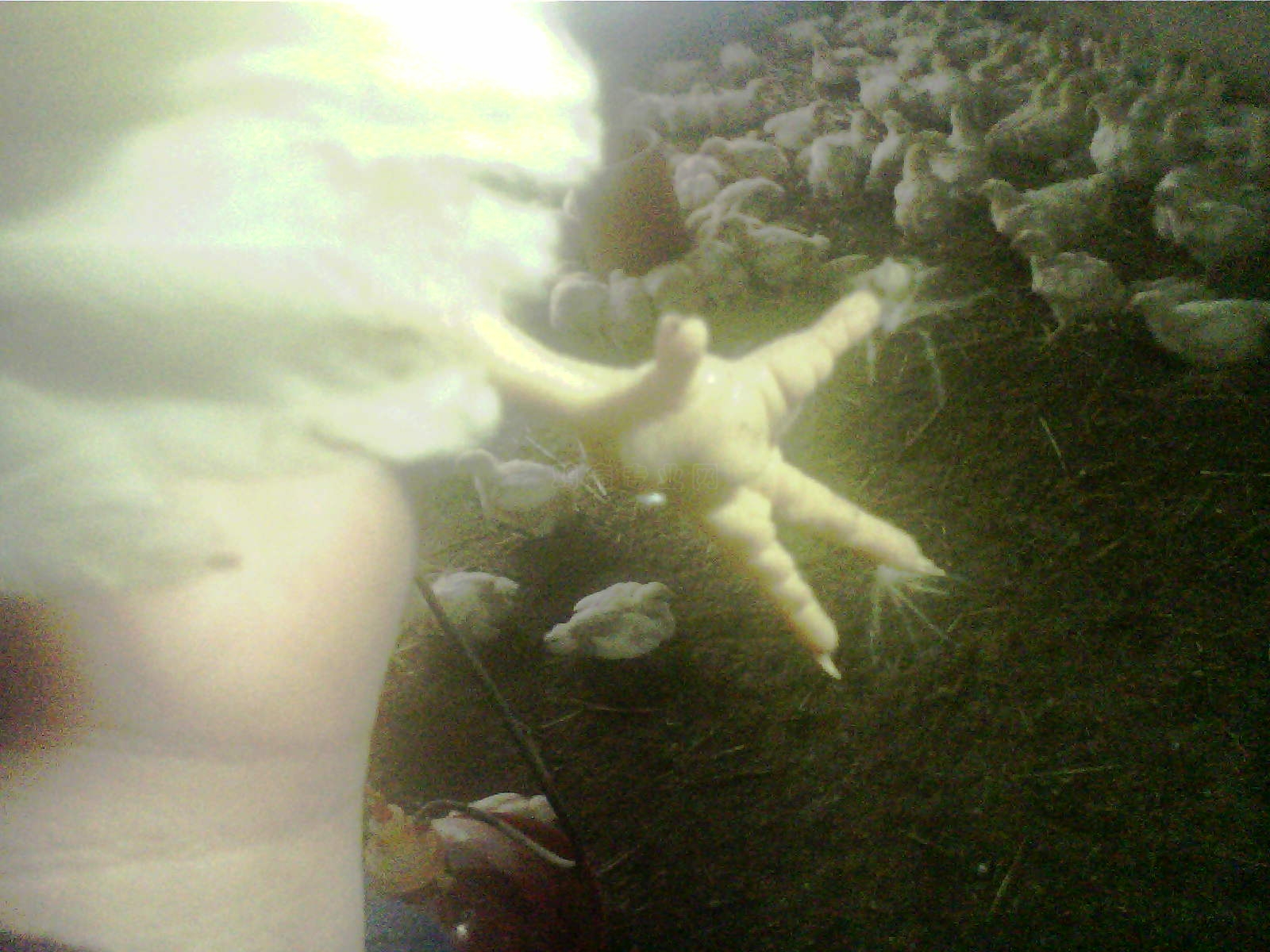 0210160900.jpg
