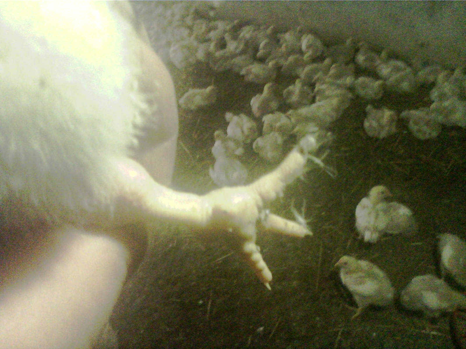 0210160800.jpg