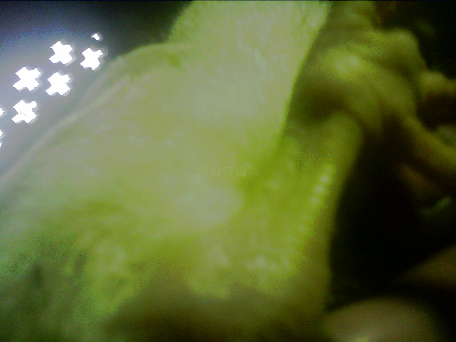 0210160801.jpg
