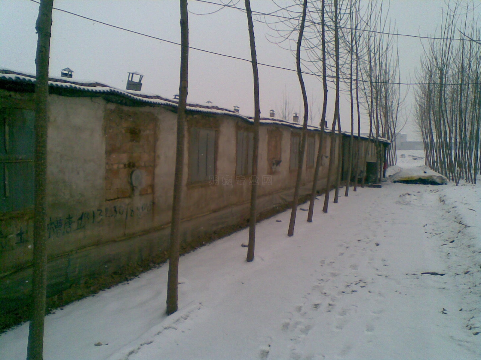 20110210(004).jpg