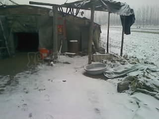 110209001.jpg