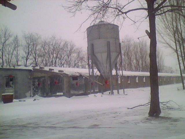 IMG0602A.jpg