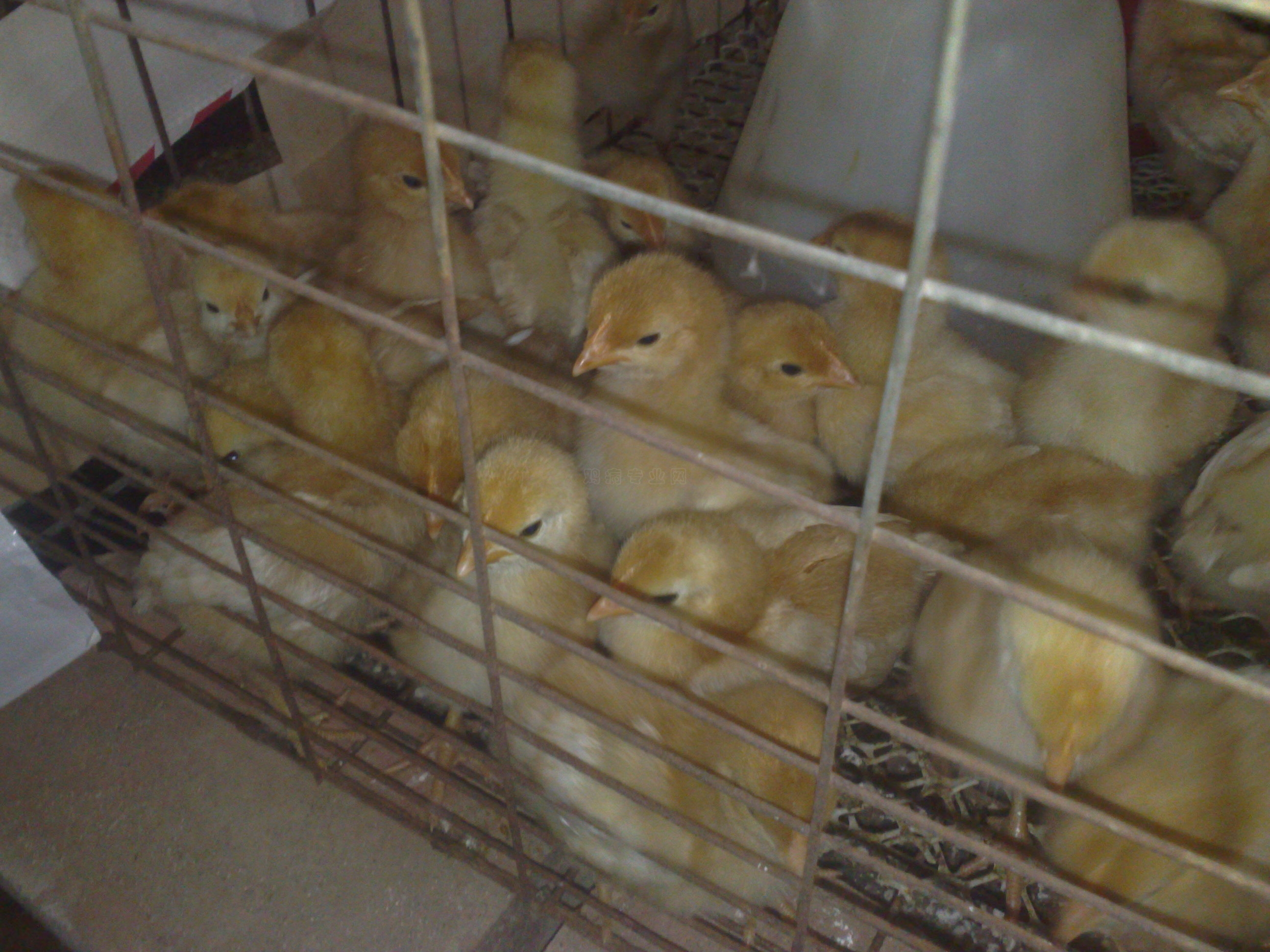20110212127.jpg