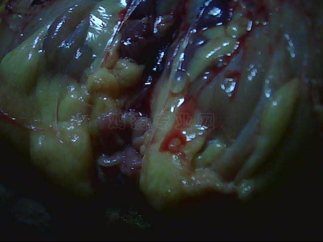ͼƬ 017.jpg