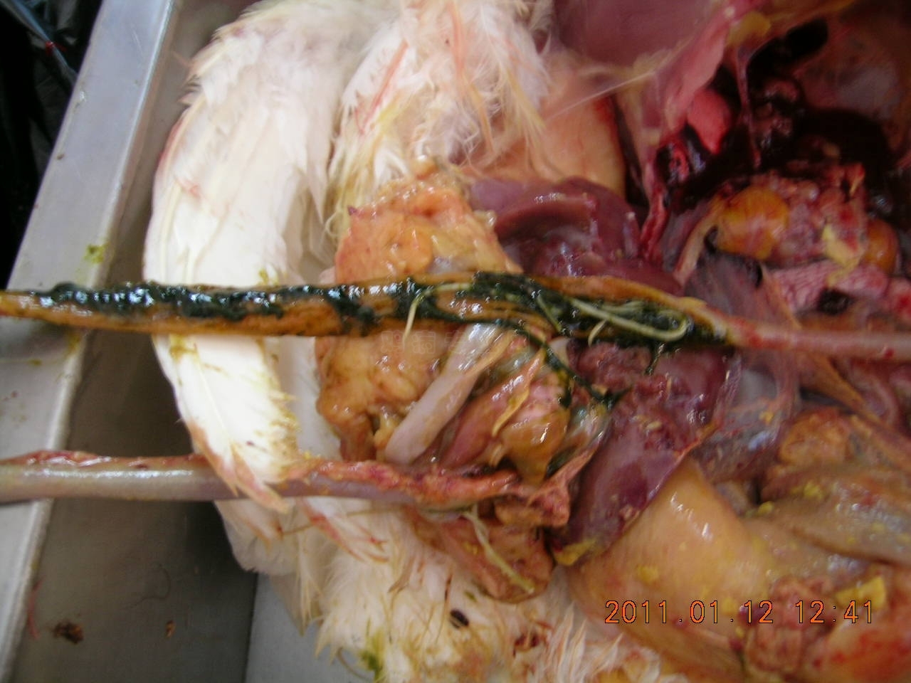 DSCN8712.JPG