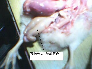 ͼƬ 0061111111111.JPG
