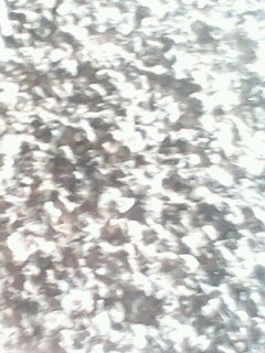 Ƭ 020.jpg