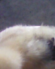IMG0032A.jpg
