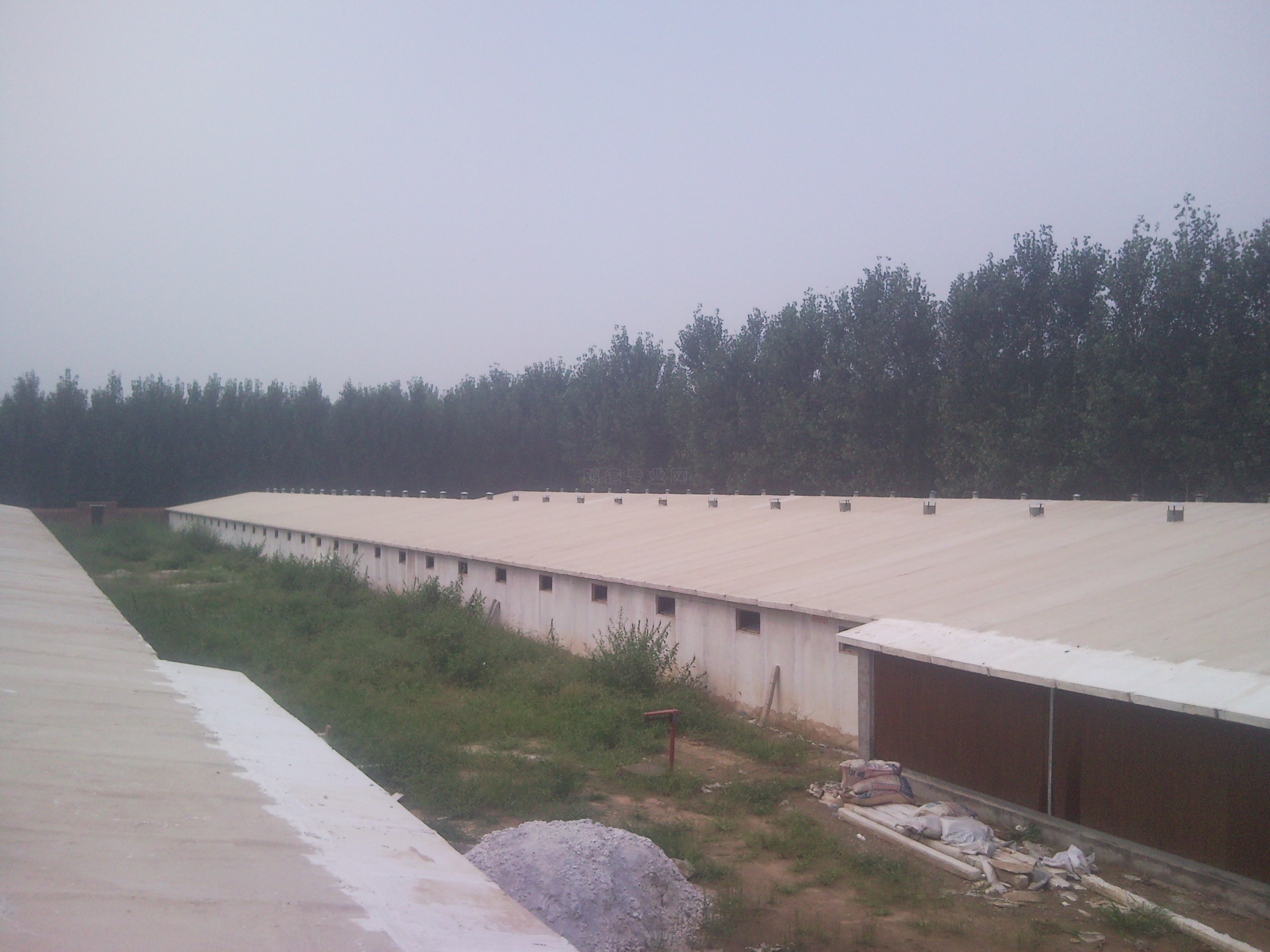 SNC00123.jpg