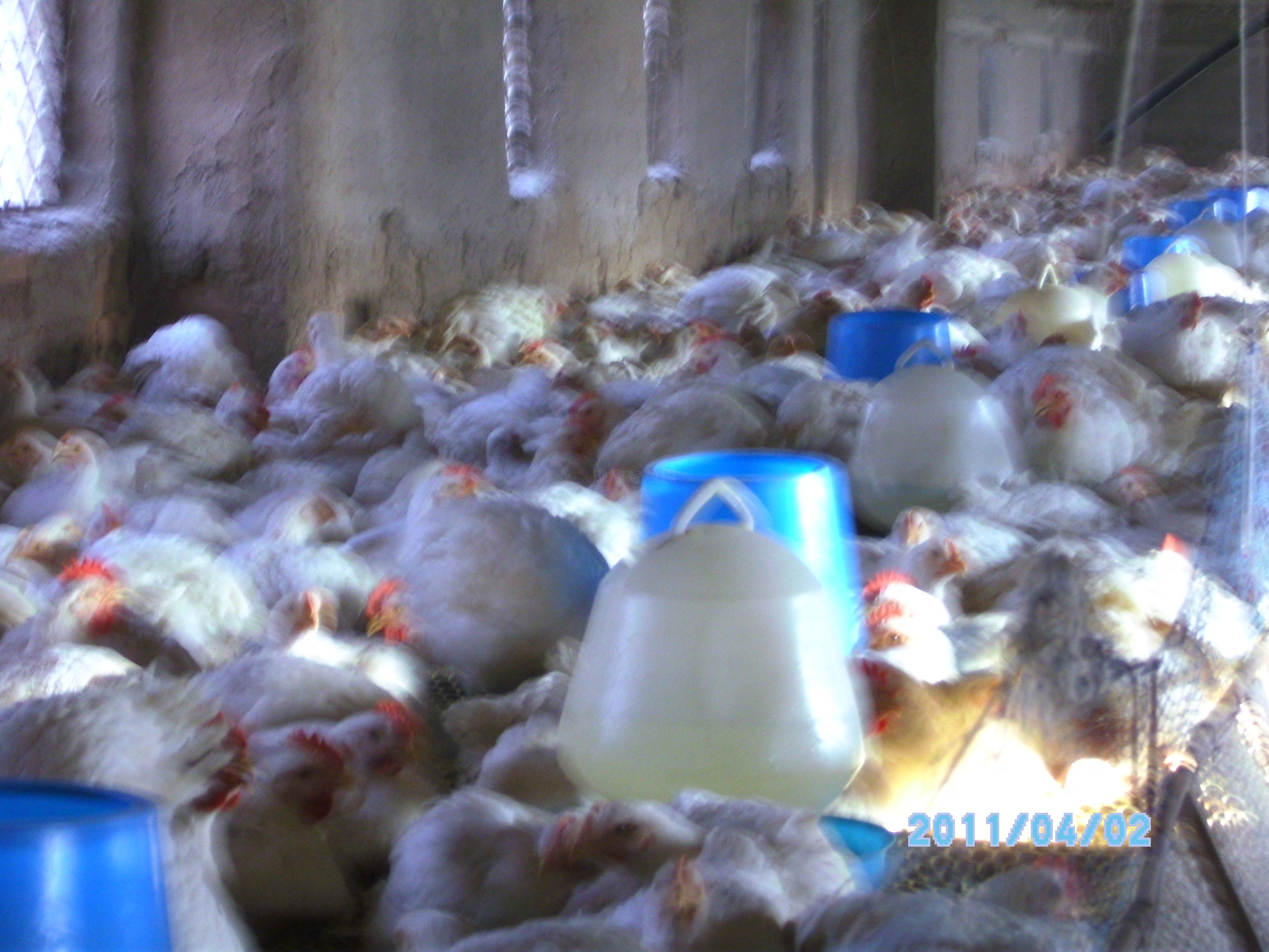 PICT0541.JPG