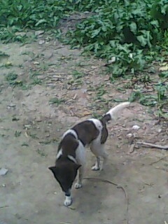IMG0436A.jpg