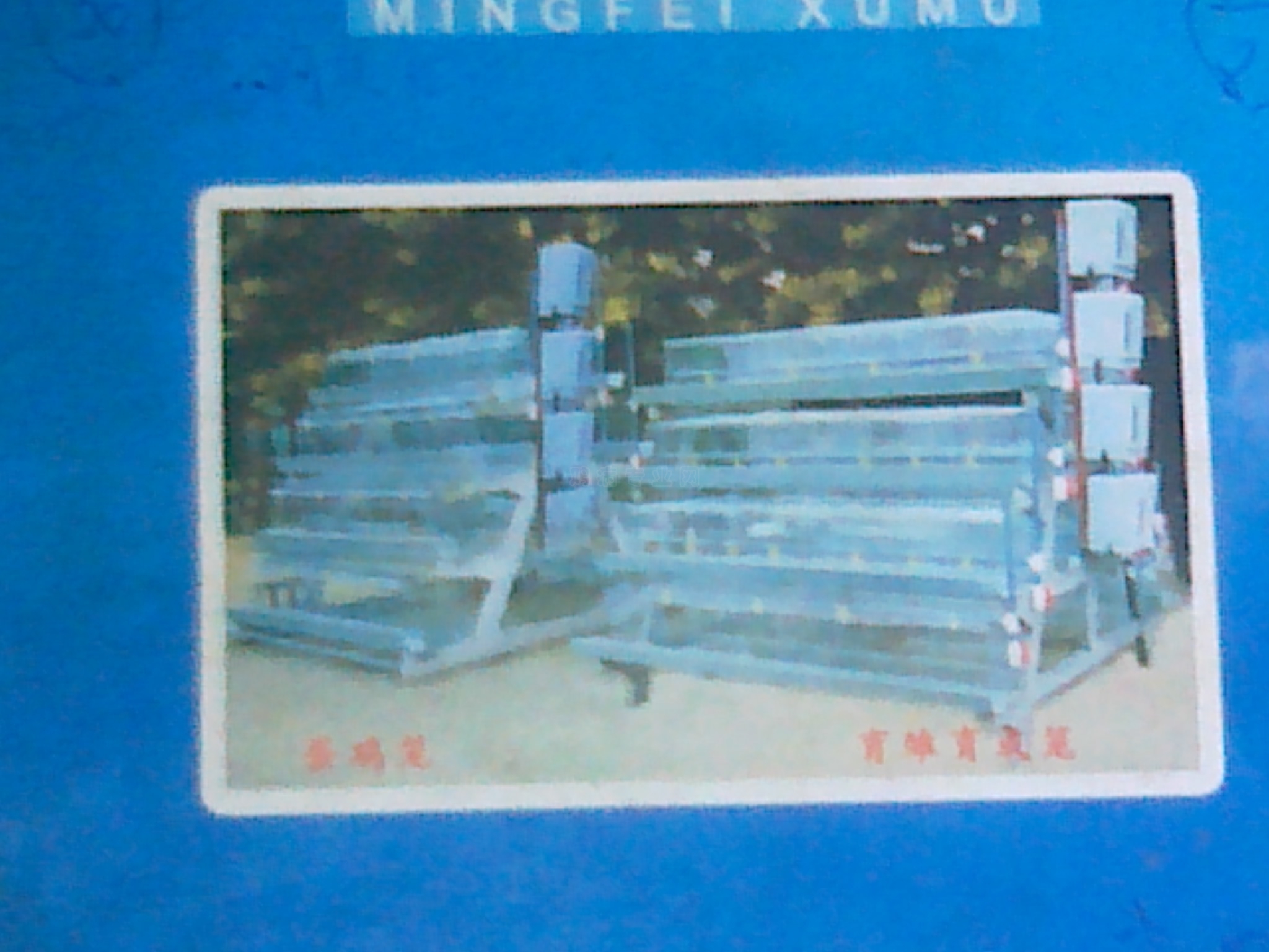 20110408560.jpg