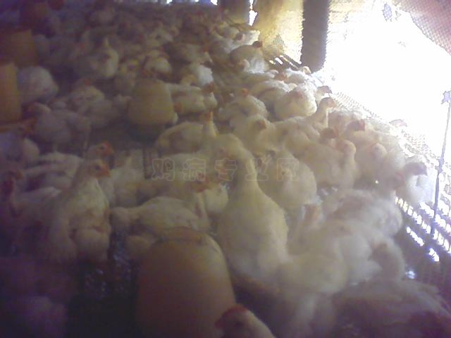 0101_0022.jpg