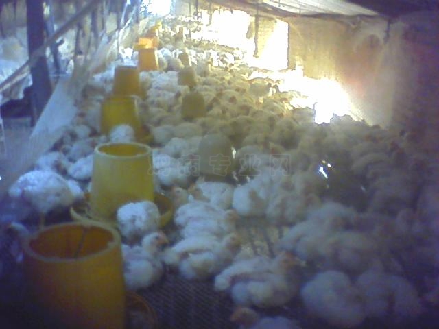 0101_0014.jpg