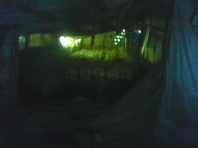 0101_0017_01.jpg