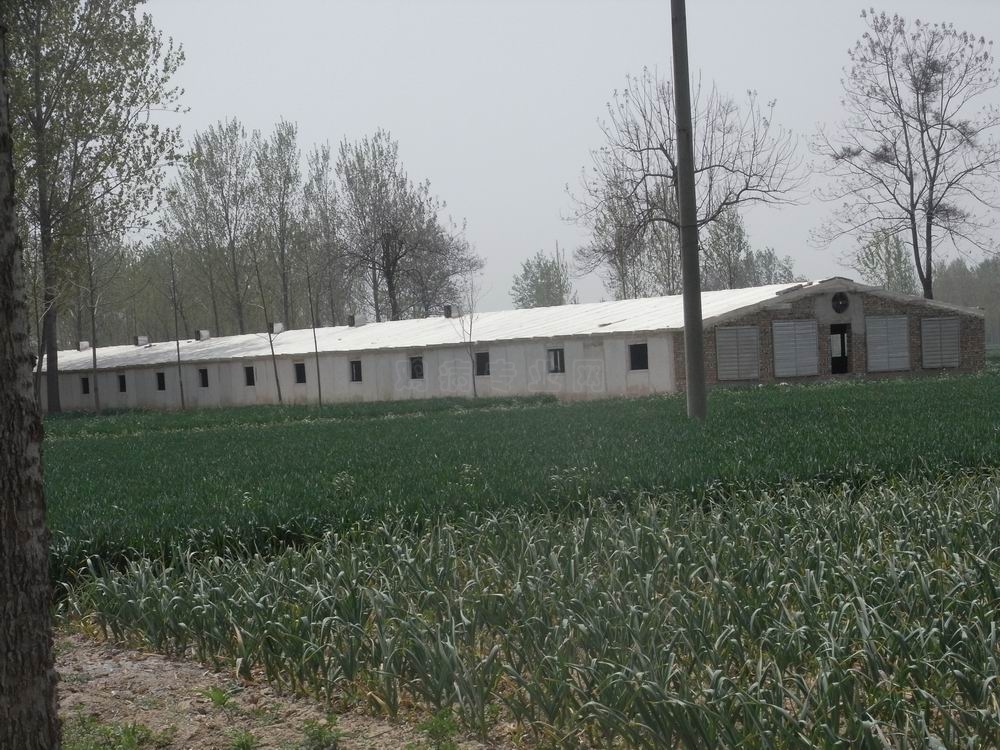 RIMG1239.JPG