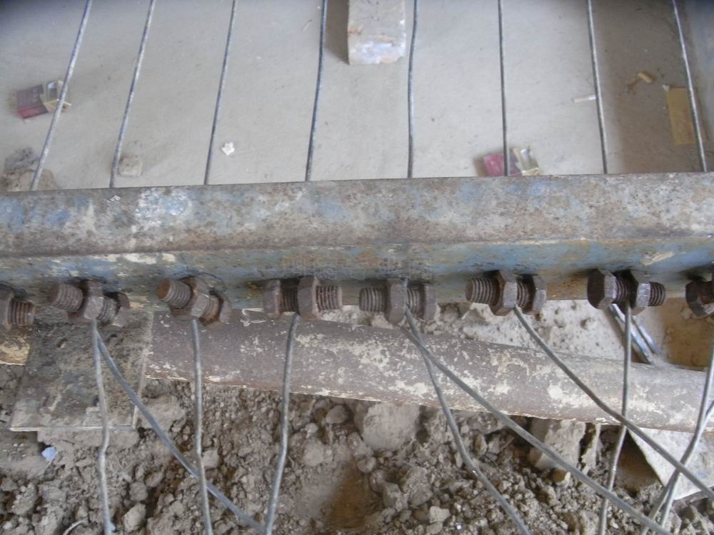 RIMG1235.JPG