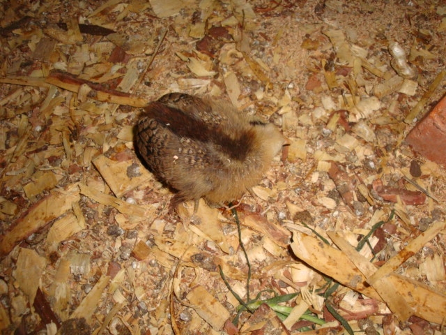 DSC05575.JPG