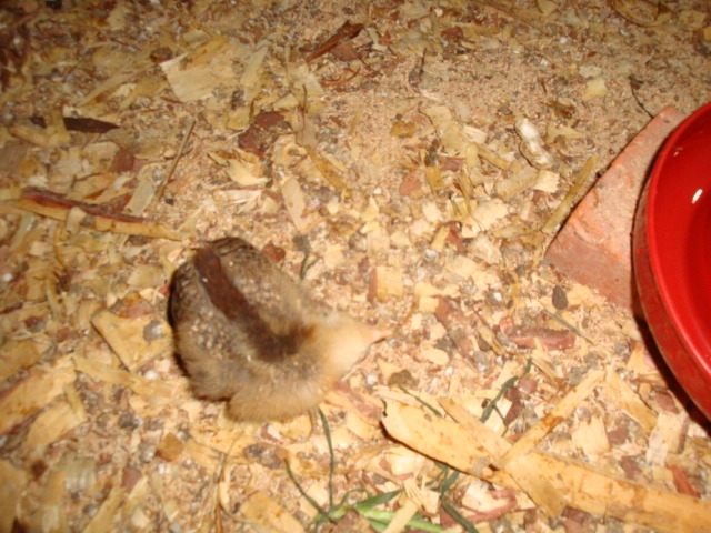 DSC05574.JPG