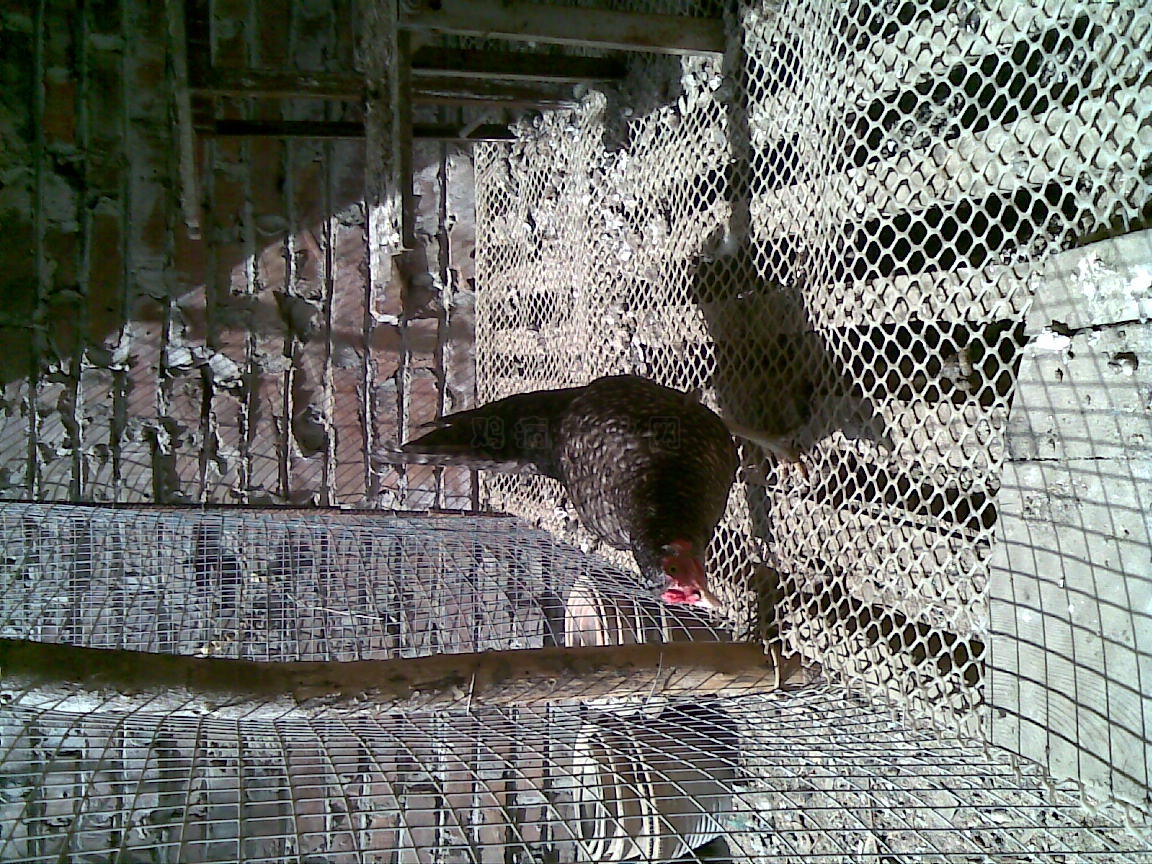 20110504.jpg