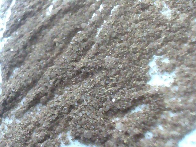 ͼƬ 089.jpg