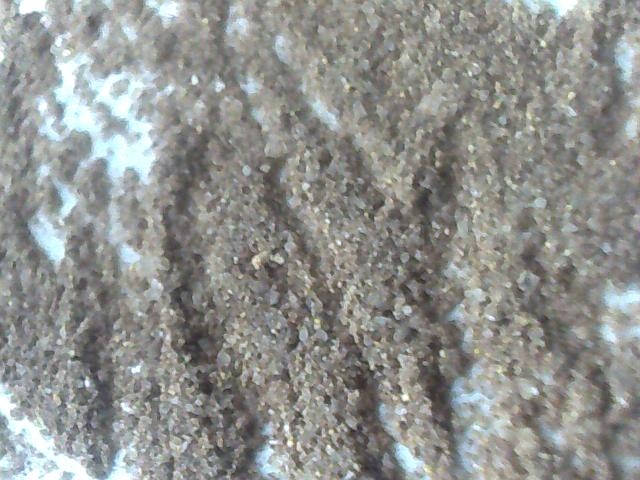 ͼƬ 085.jpg
