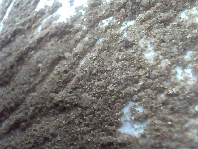 ͼƬ 082.jpg