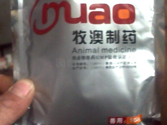 ͼƬ 095.jpg