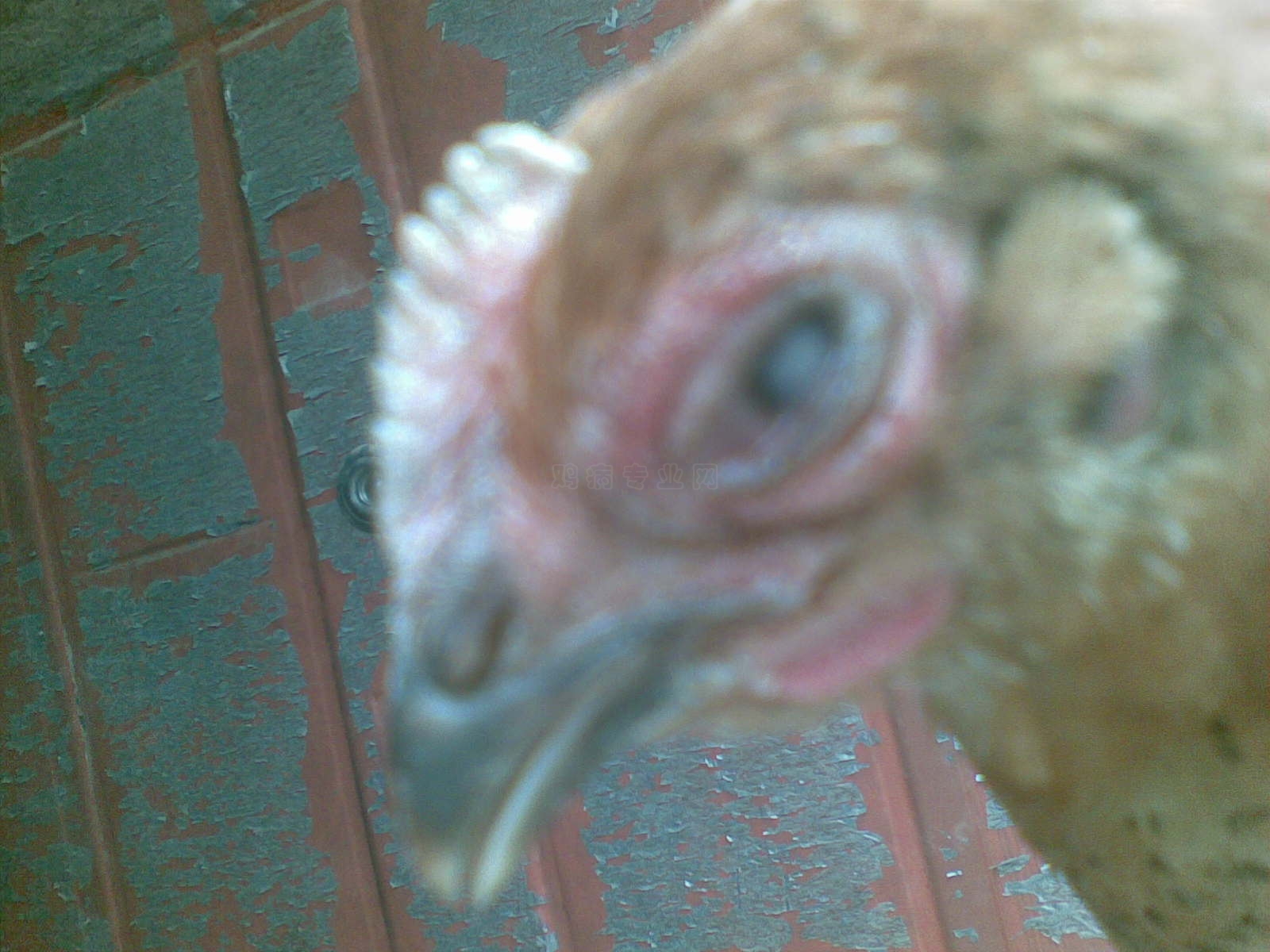 20110523_001.jpg