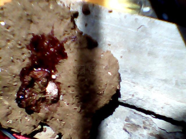ͼƬ 005.jpg