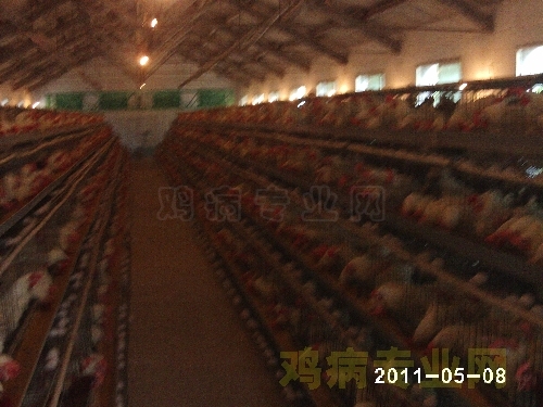 PHOT0012.JPG