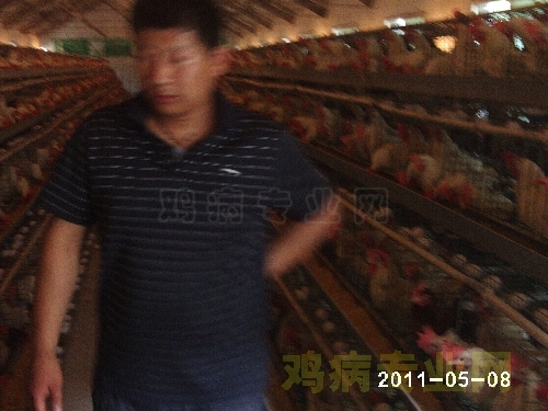 PHOT0009.JPG