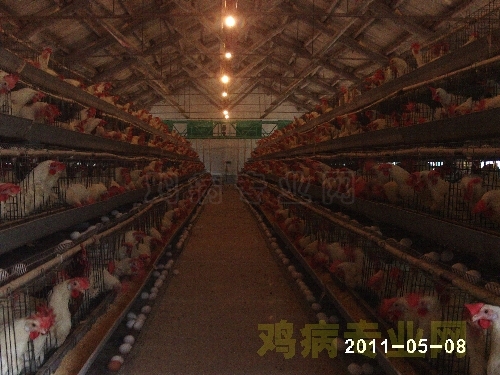 PHOT0013.JPG