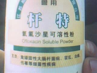 ͼƬ 029.jpg