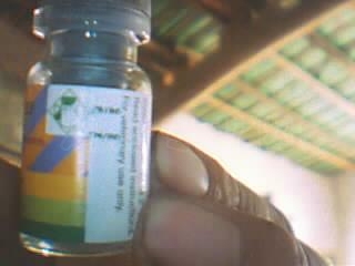 ͼƬ 005.jpg
