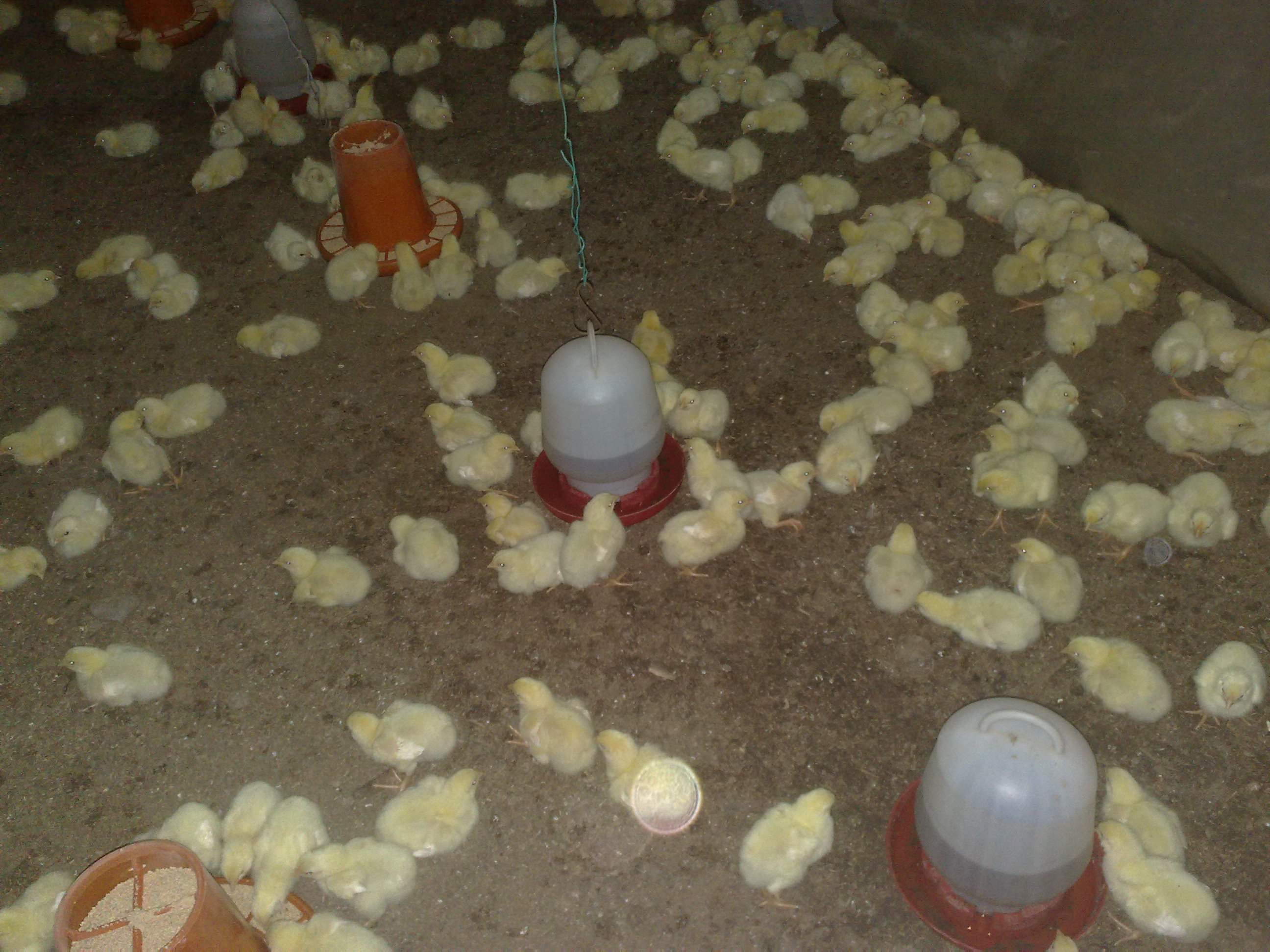 20110511358.jpg