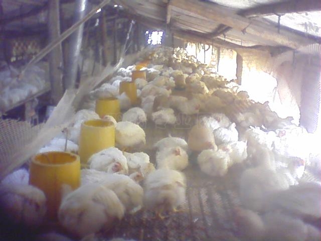 0101_0001_04.jpg