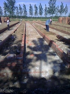 IMG0064A.jpg