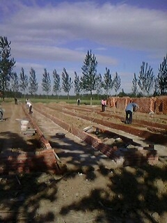 IMG0063A.jpg