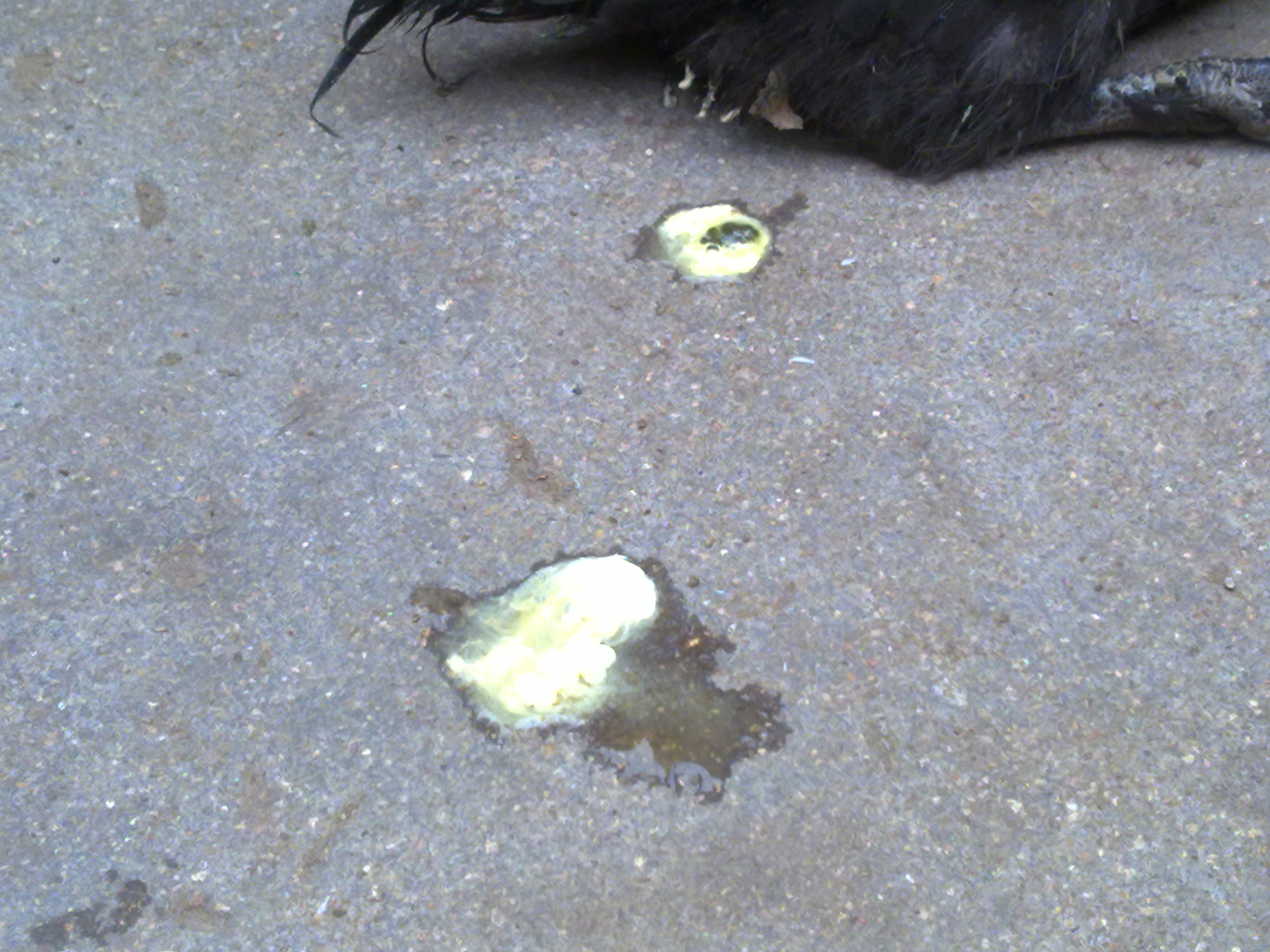 20110629039.jpg