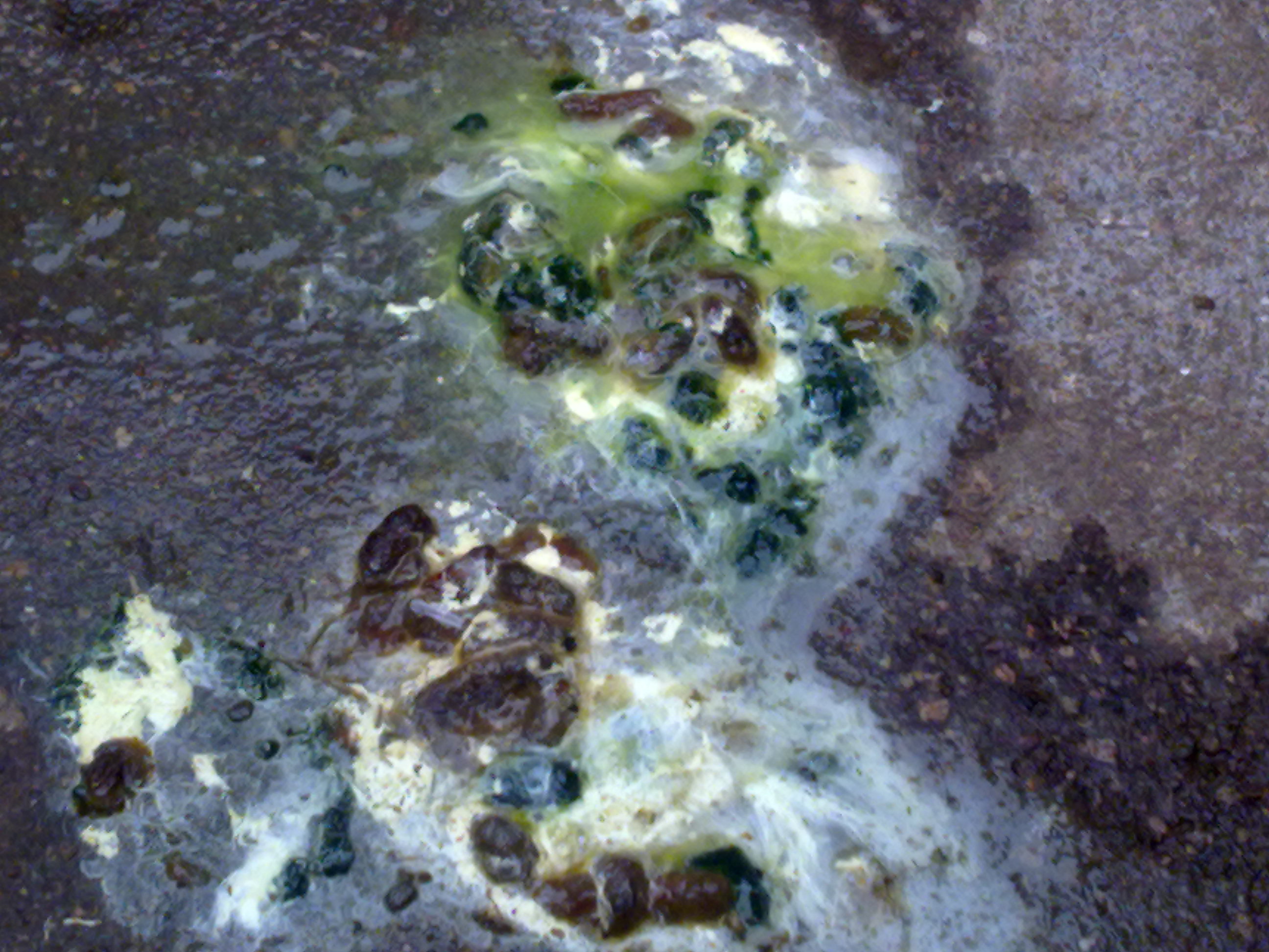 20110629038.jpg