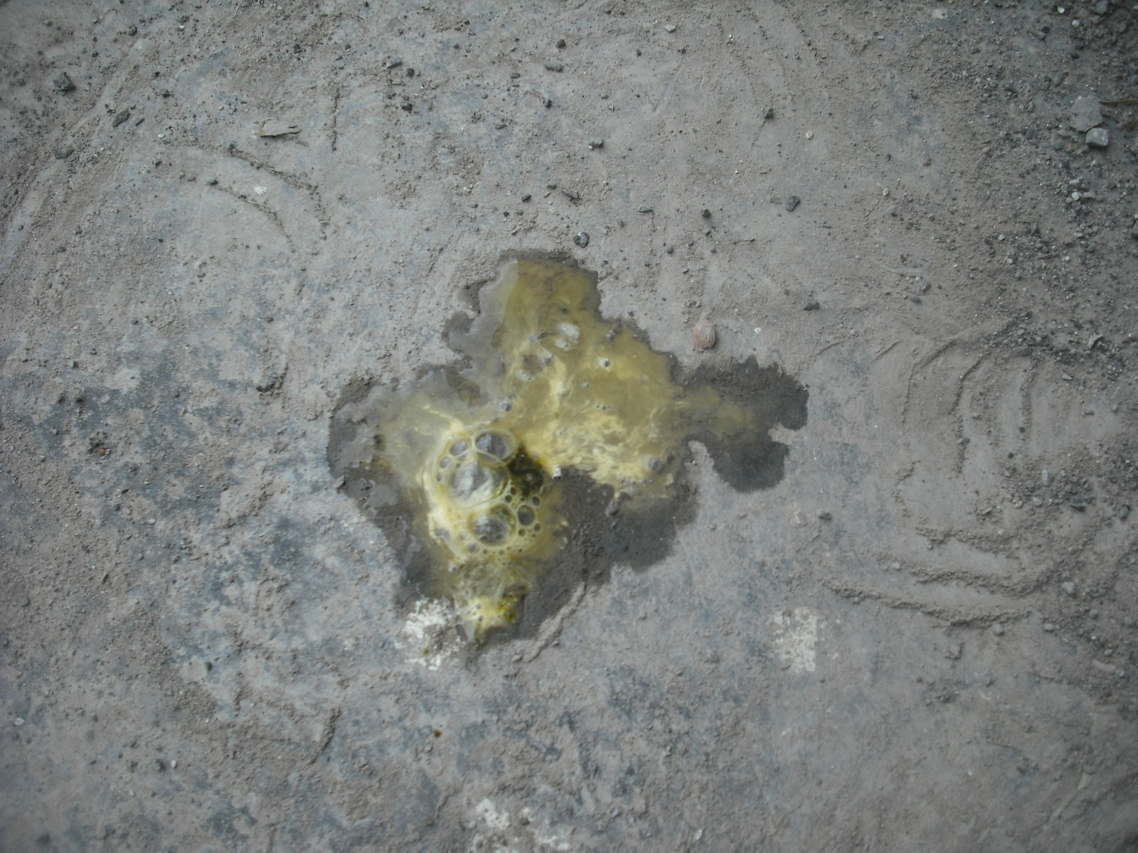 DSCF3721.JPG