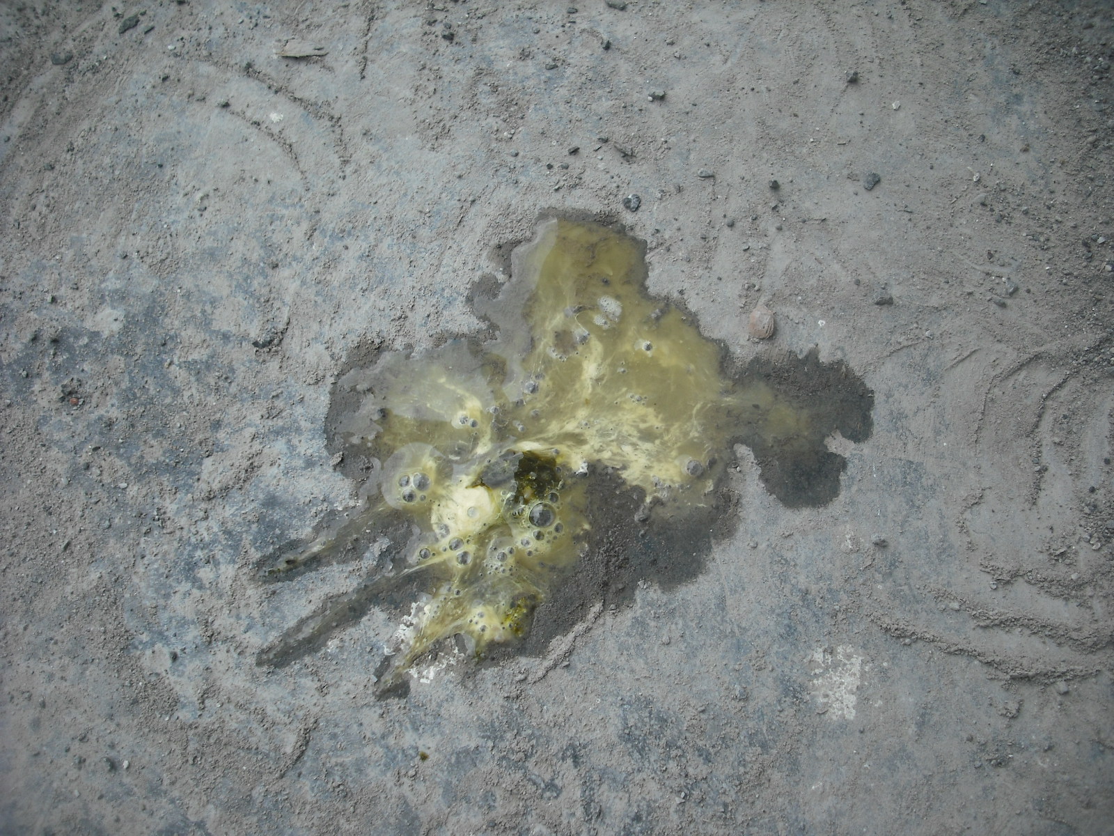 DSCF3723.JPG