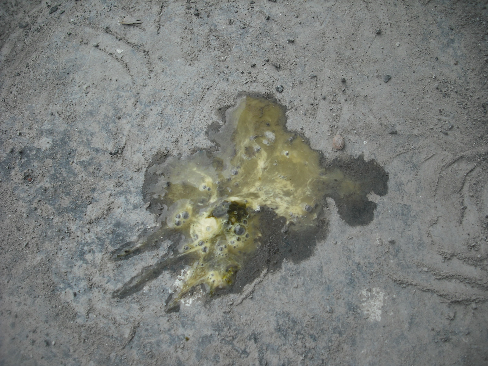 DSCF3722.JPG
