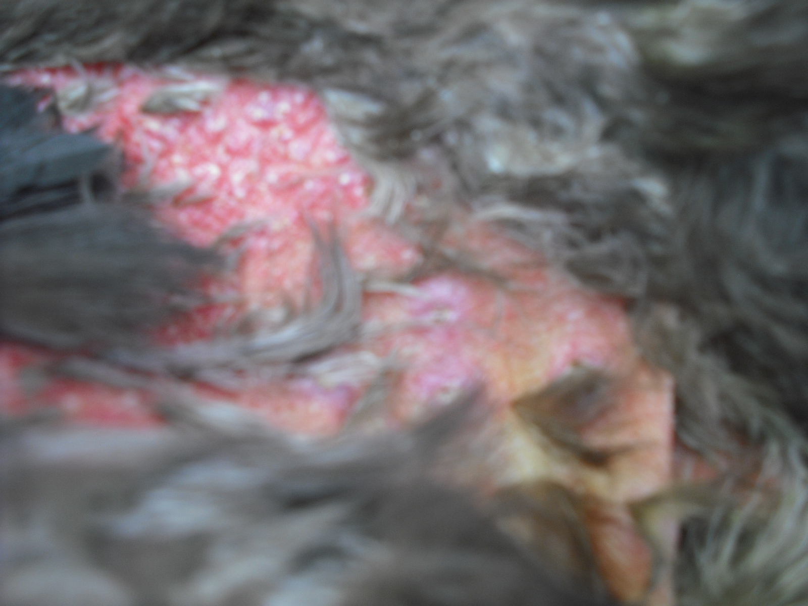 DSCF3708.JPG